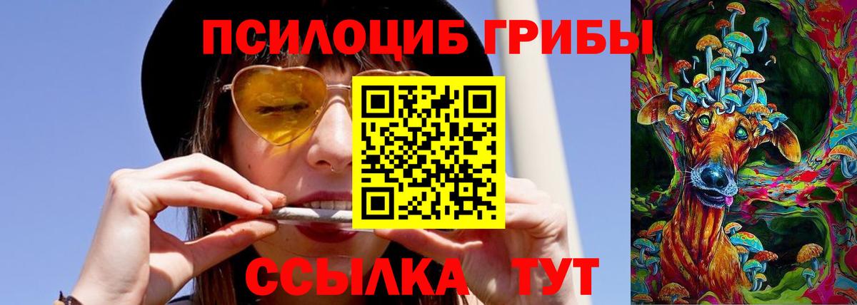 Галлюциногенные грибы Psilocybine cubensis Топки