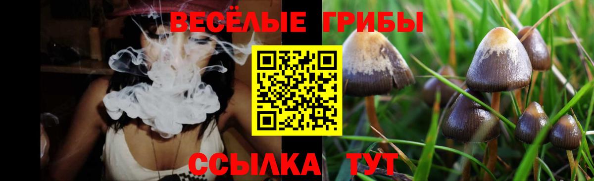 Топки  Псилоцибиновые грибы MAGIC MUSHROOMS  Галлюциногенные грибы ЛСД  Вход с VPN 